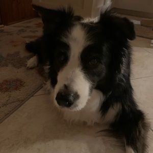 Meet your Posher, Mike